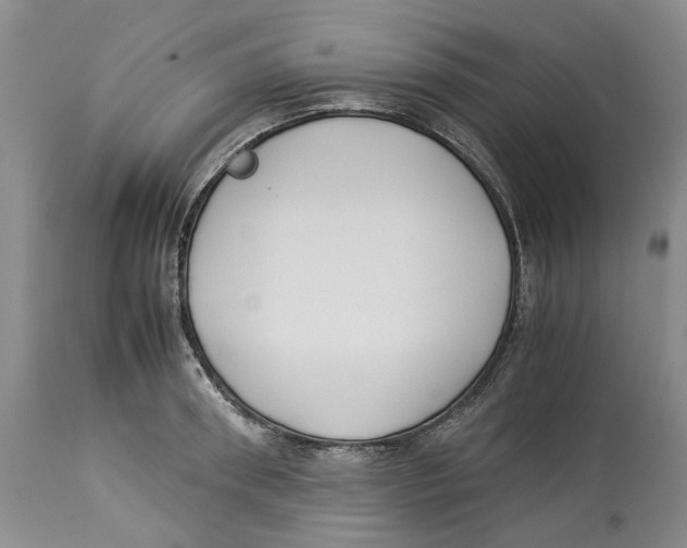 X0000114170898200911051525