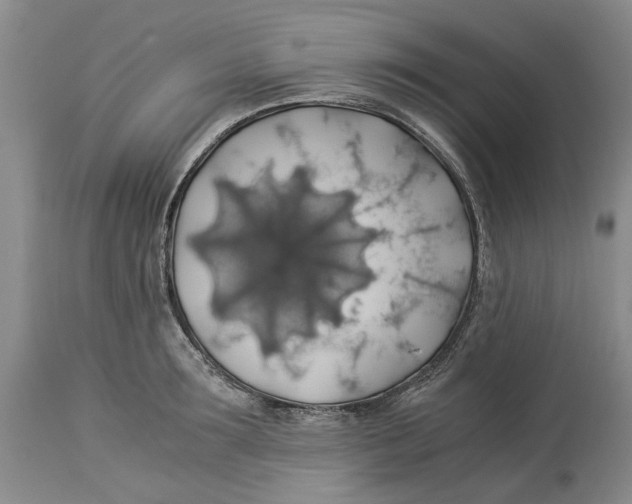 X0000114170899200911051525