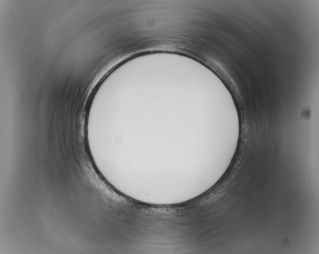 X0000114170900200911051525