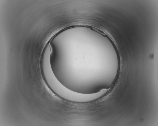 X0000114170901200911051525