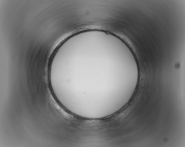 X0000114170902200911051524