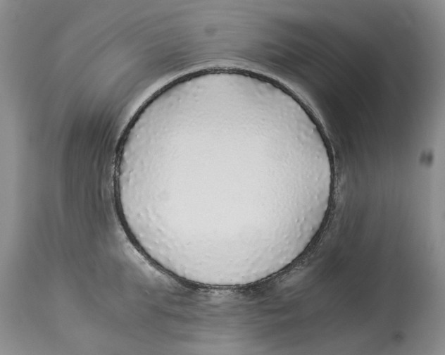 X0000114170903200911051524