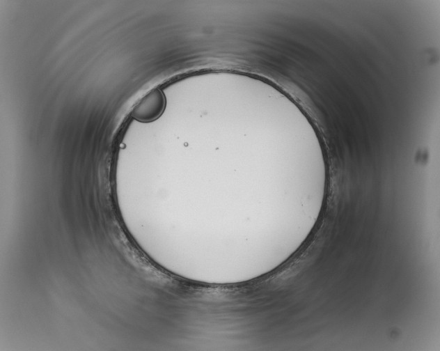 X0000114170904200911051524