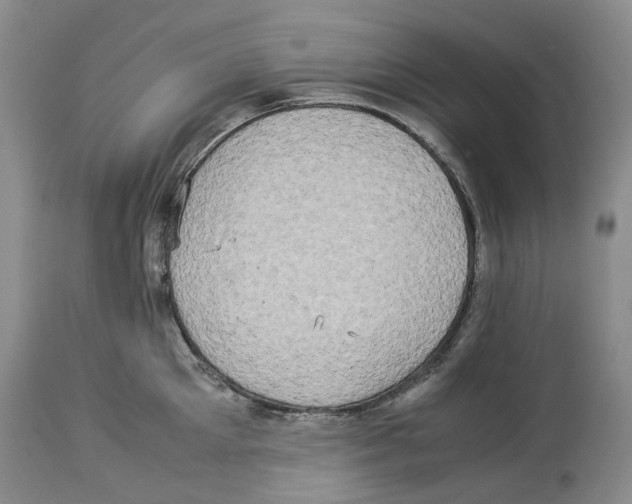 X0000114170905200911051524