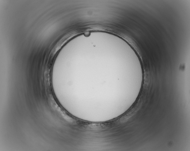 X0000114170906200911051524