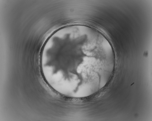 X0000114170907200911051524