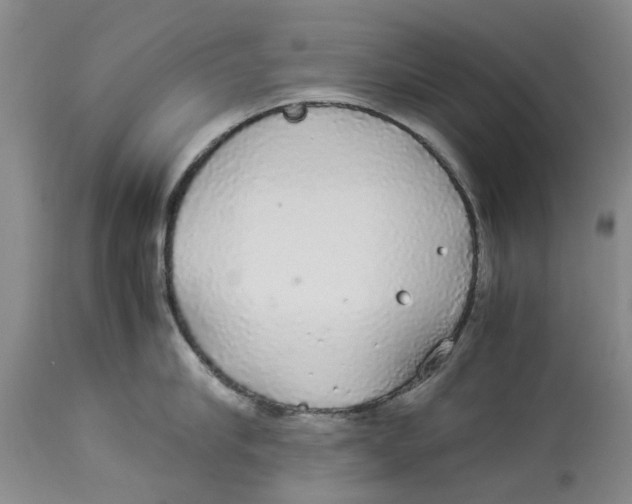 X0000114170910200911051524