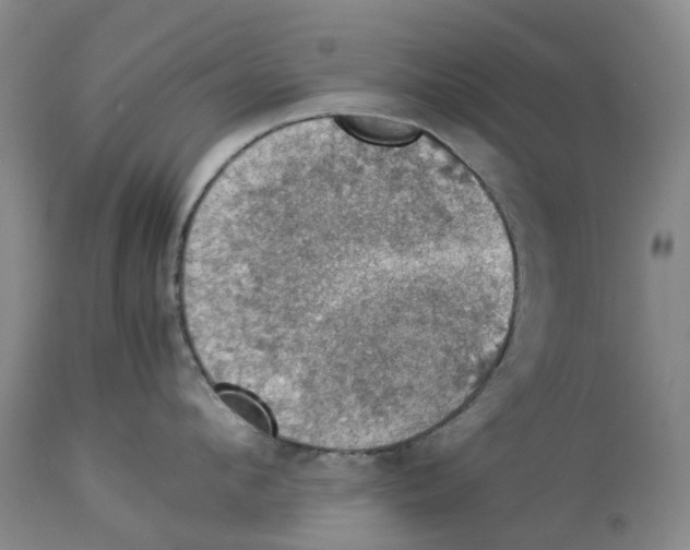 X0000114170912200911051524