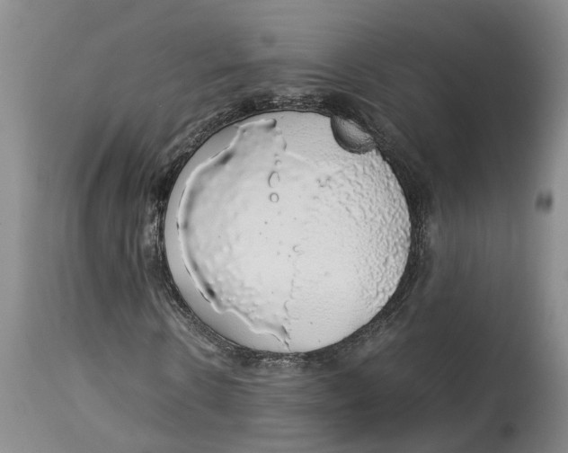 X0000114170914200911051524