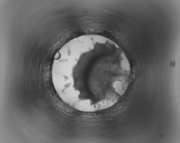 X0000114170915200911051524