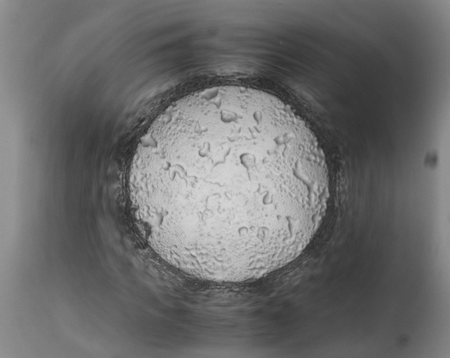 X0000114170917200911051524