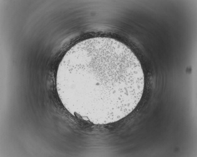 X0000114170918200911051524