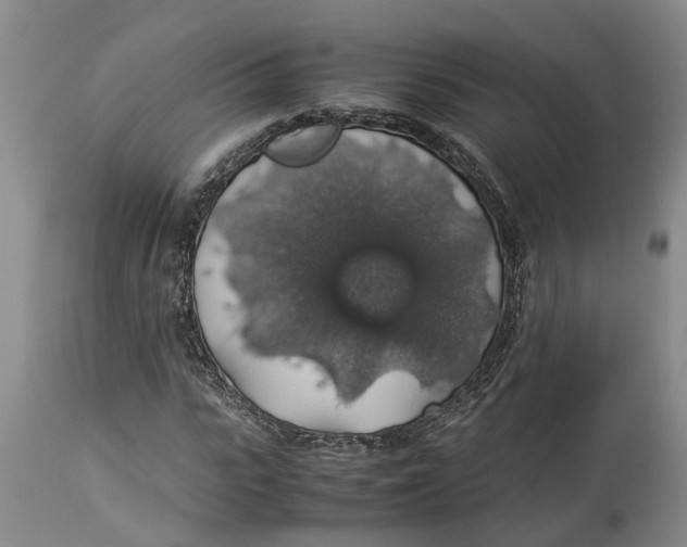 X0000114170919200911051524