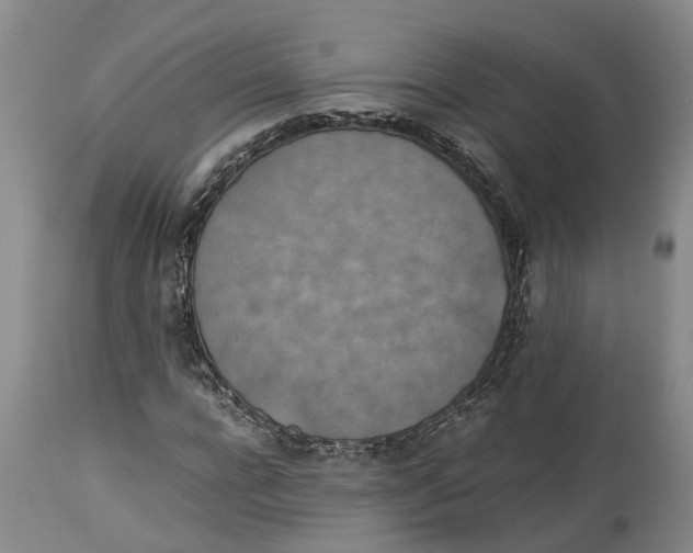 X0000114170920200911051524