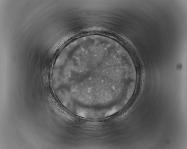 X0000114170921200911051524