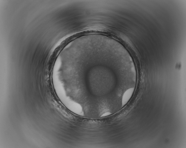 X0000114170923200911051524