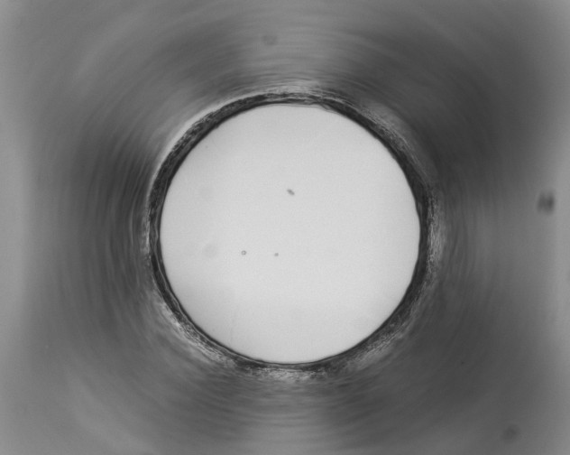 X0000114170924200911051524