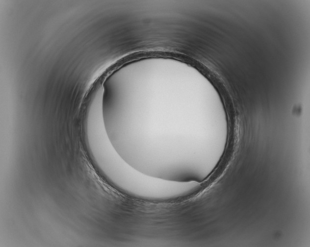 X0000114170925200911051524