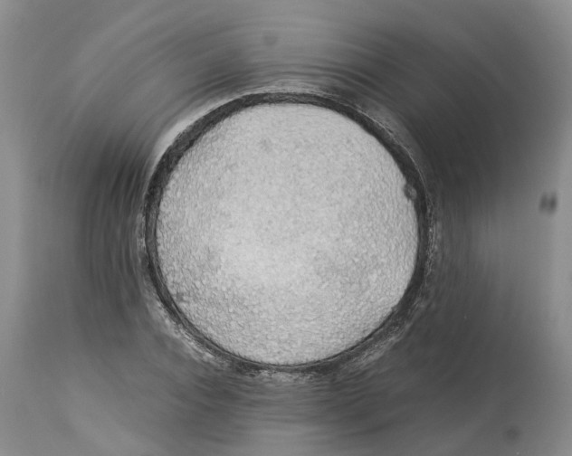 X0000114170928200911051524