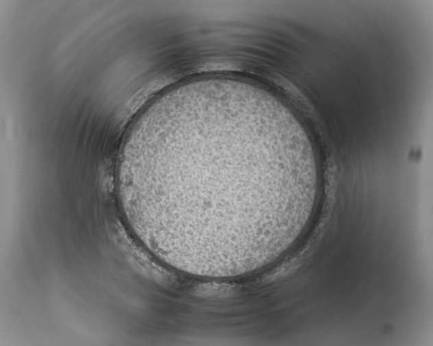 X0000114170929200911051524