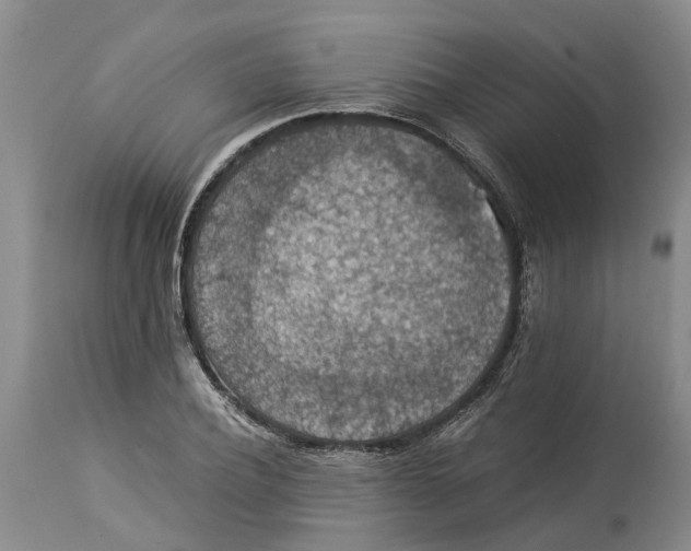 X0000114170932200911051524