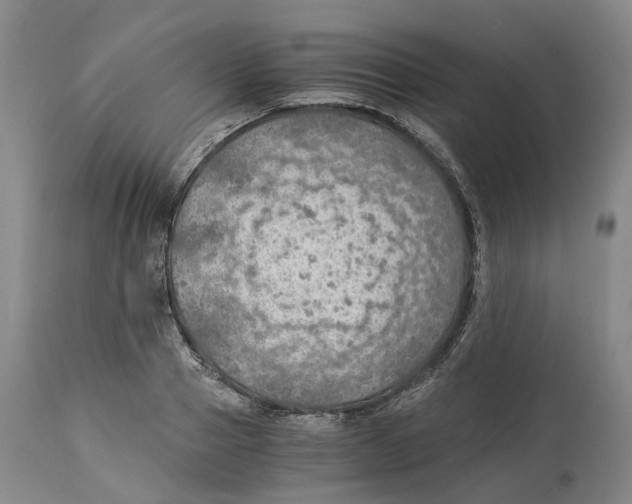 X0000114170937200911051524