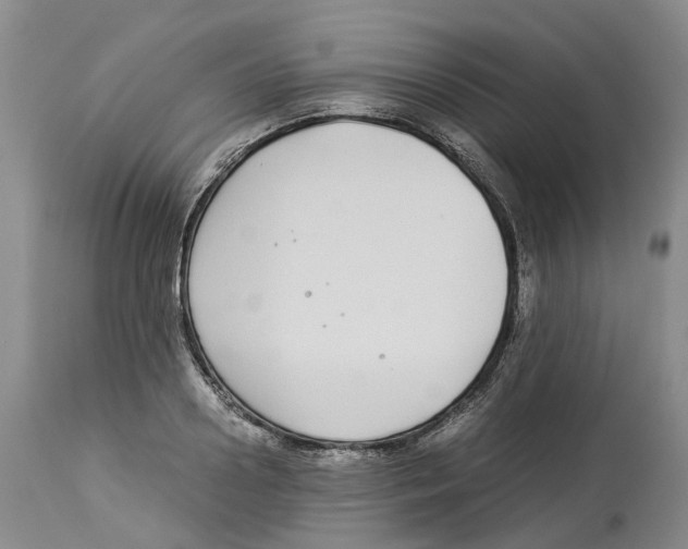 X0000114170938200911051524