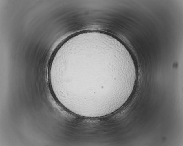 X0000114170939200911051524