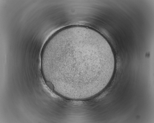 X0000114170940200911051524