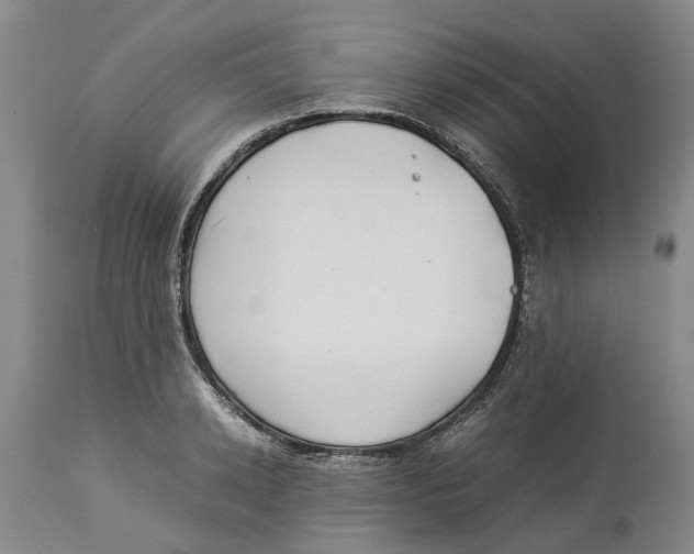 X0000114170942200911051524