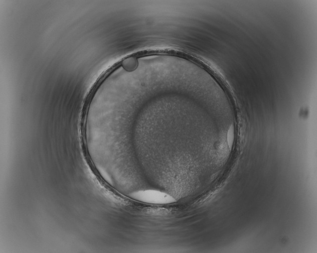 X0000114170943200911051524