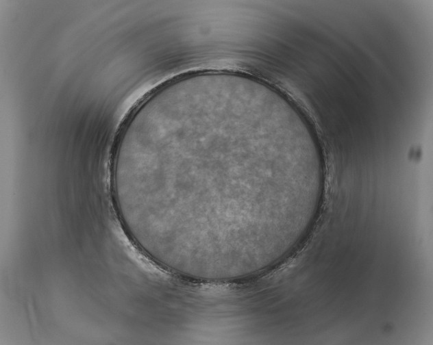 X0000114170944200911051524