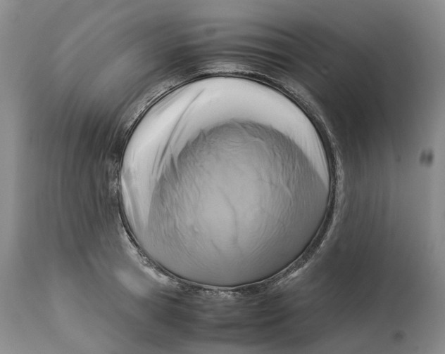 X0000114170945200911051524