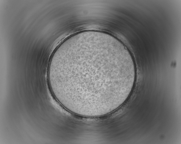 X0000114170946200911051524