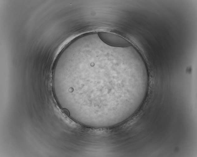 X0000114170948200911051524