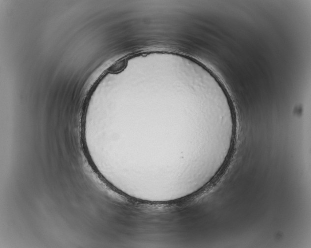 X0000114170949200911051524