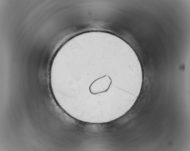 X0000114170950200911051524