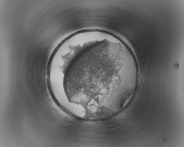 X0000114170951200911051524