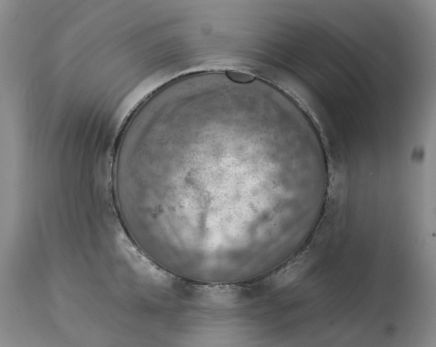 X0000114170952200911051524