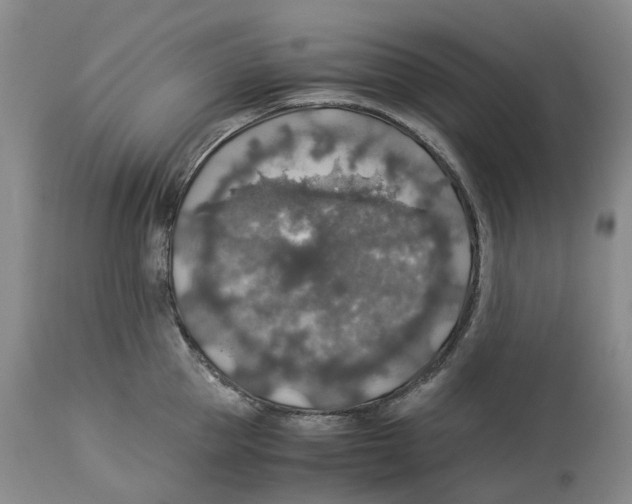 X0000114170953200911051524