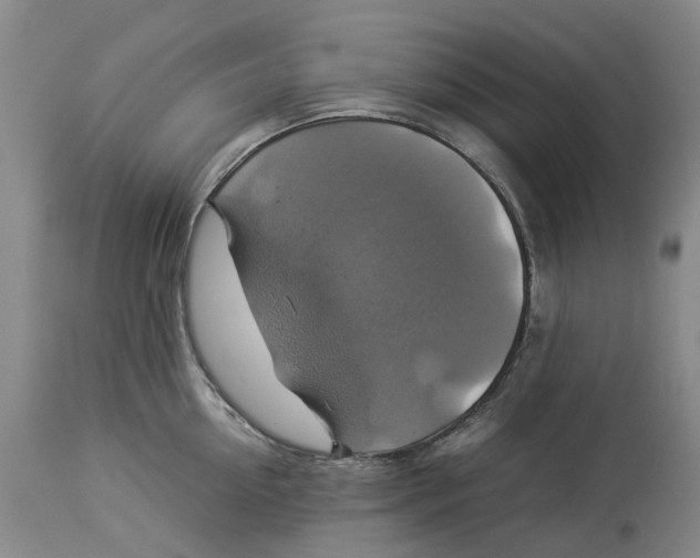 X0000114170954200911051524