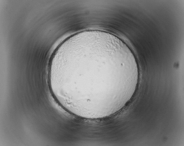 X0000114170955200911051524