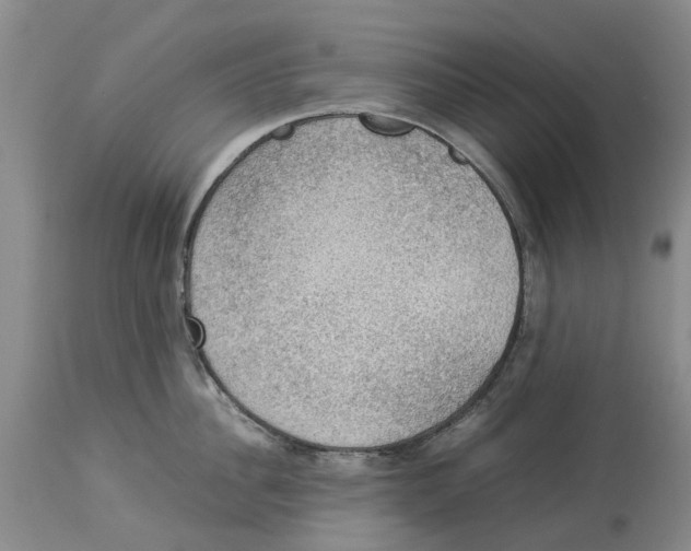 X0000114170956200911051524