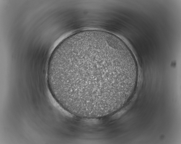 X0000114170957200911051524