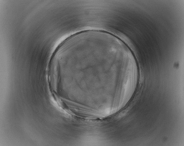 X0000114170958200911051524