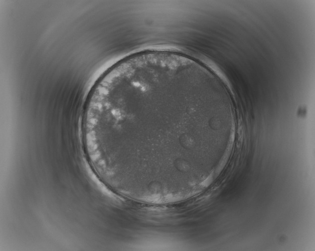 X0000114170959200911051524