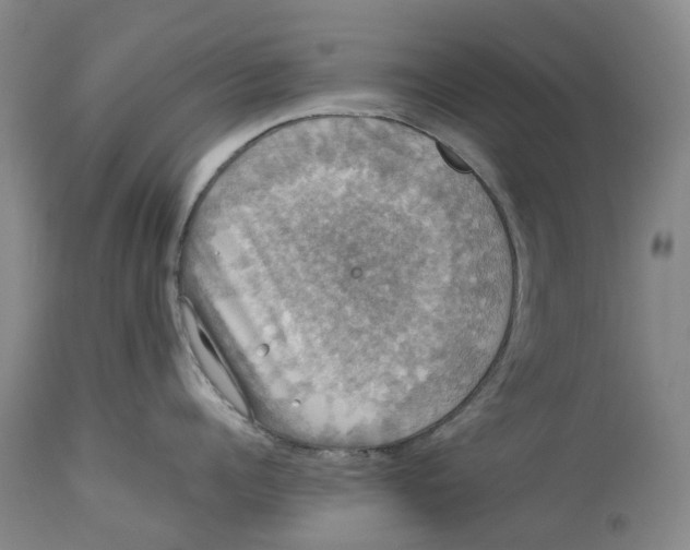 X0000114170960200911051524