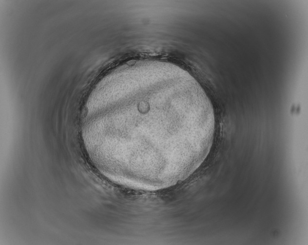 X0000114170961200911051524