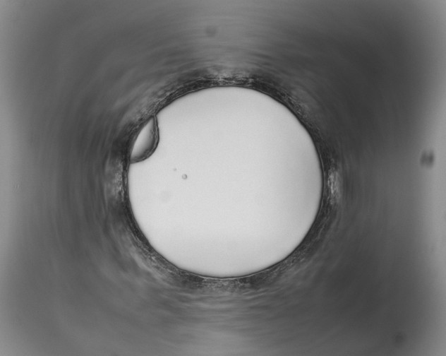 X0000114170963200911051524