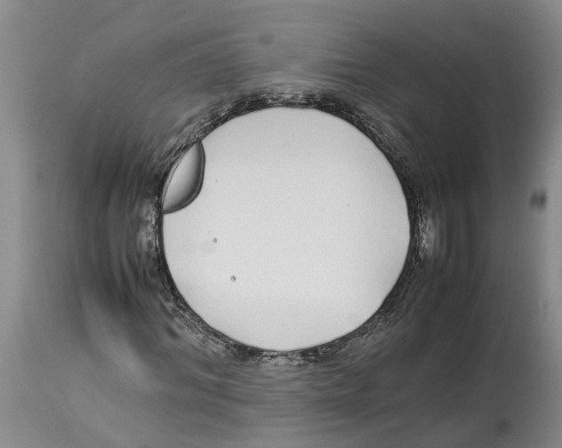 X0000114170964200911051524